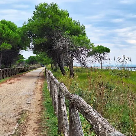 Διαμέρισμα Enjoy The Breeze In Our Colorful Flat Μπιμπιόνε